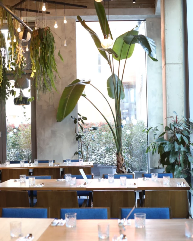 Baví nás být místem, kam se vracíte. Na kafe, na oběd, někdy jen tak.
Díky, že jste s námi. #spojkakarlin 
-
We enjoy being the place you come back to. For coffee, for lunch, sometimes just to relax.
Thank you for being with us. #spojkakarlín